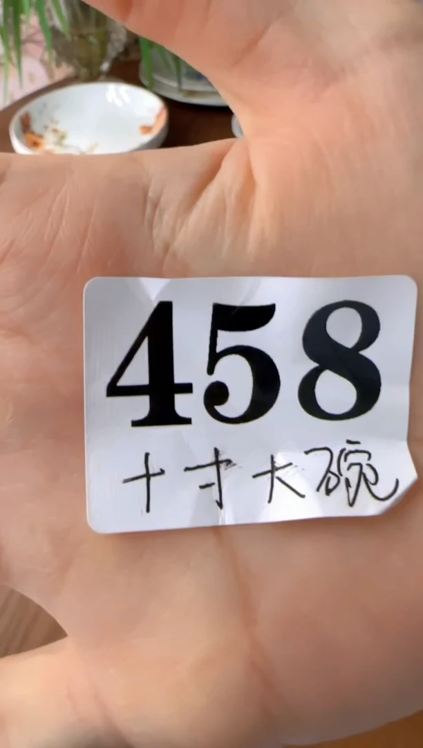 S***a盘子瓷****************