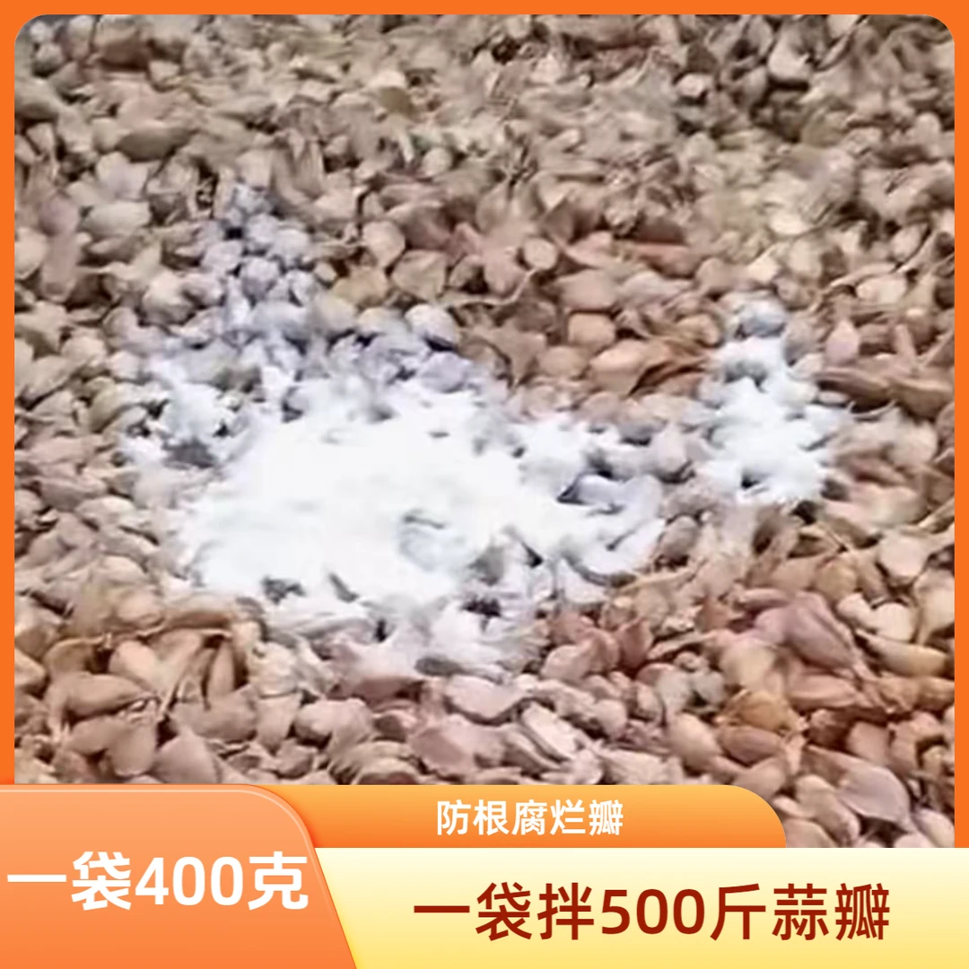 【多福干粉】一袋可拌500斤大蒜种子预防大蒜根腐烂瓣