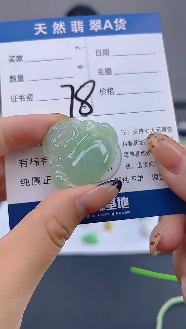 颈饰未镶嵌翡翠天然A货缅甸翡翠