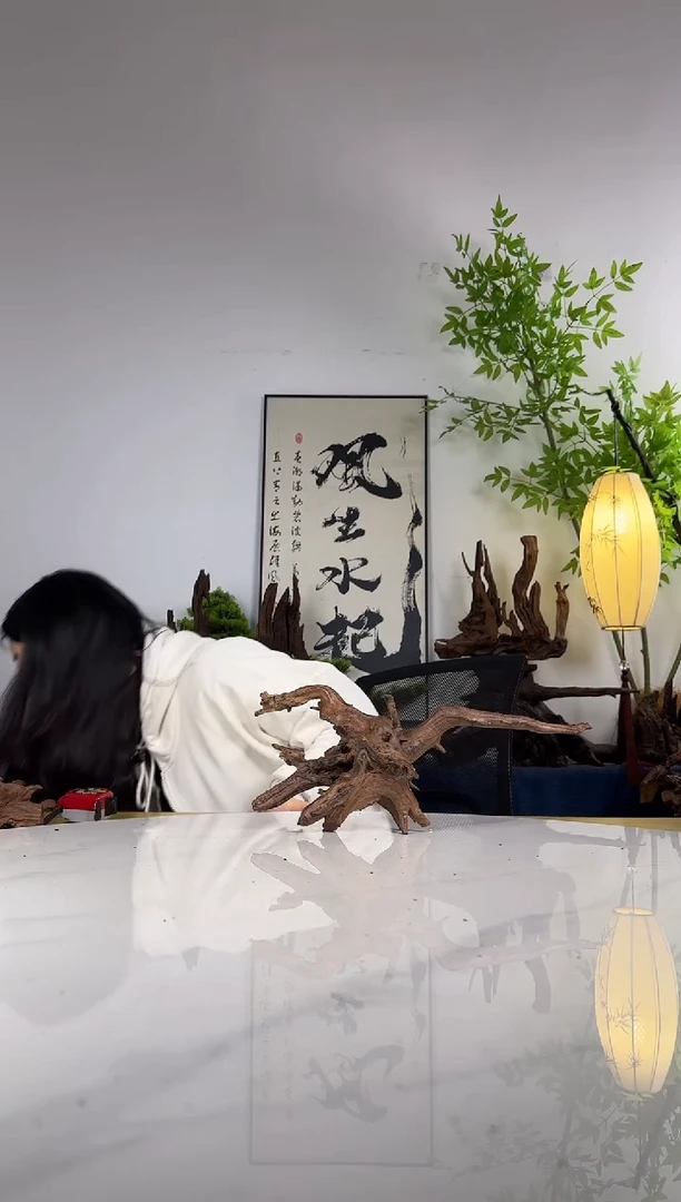 晴*拍这个定向编号66