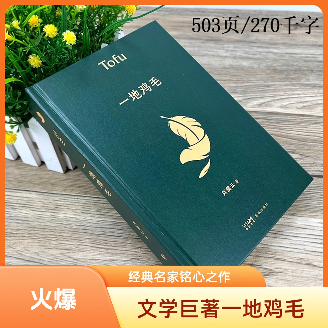 （一地鸡毛）经典现当代文学小说莫言冯仑上官史铁生