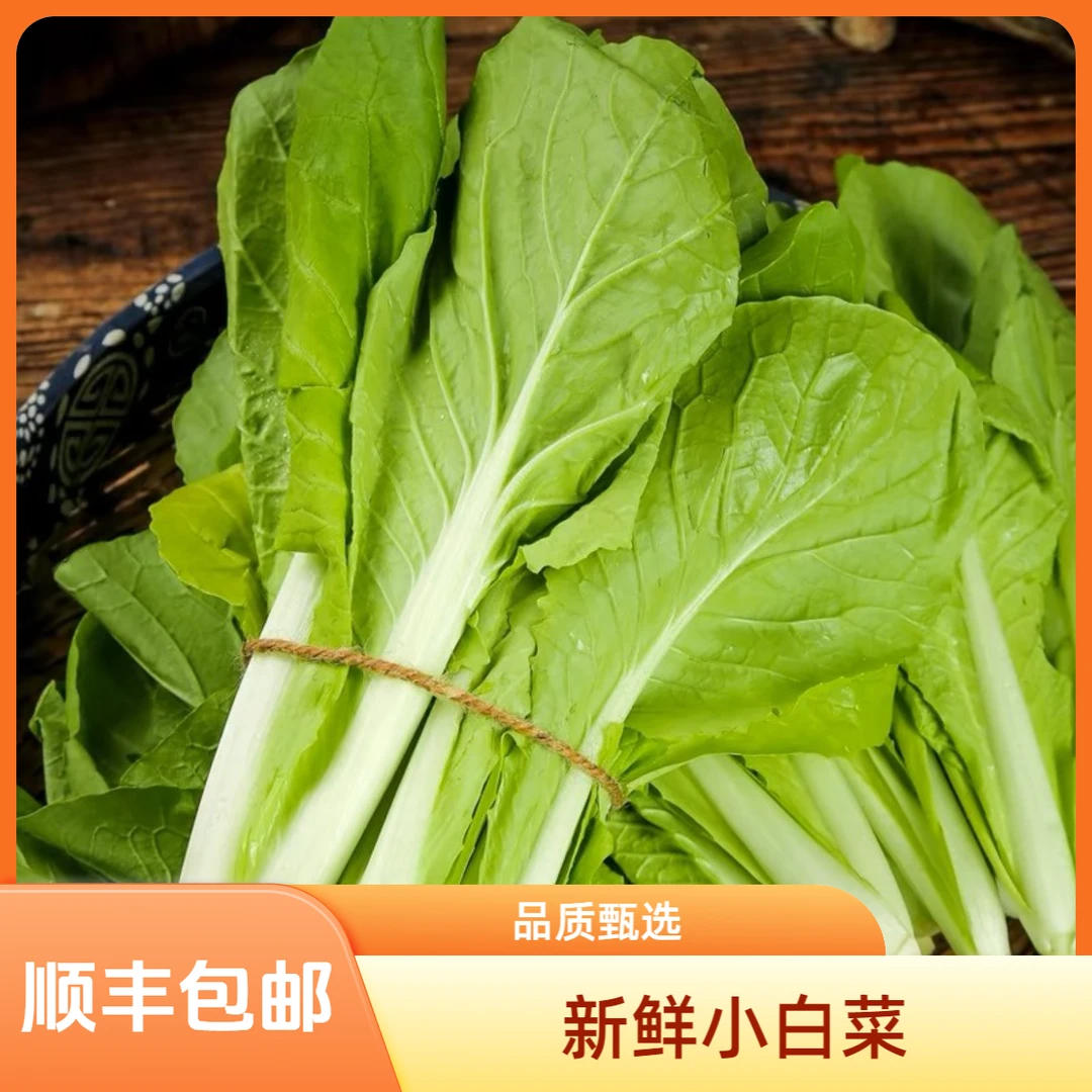 【天泽甄选】新鲜嫩绿小白菜2斤±2两（顺丰包邮）绿色蔬菜