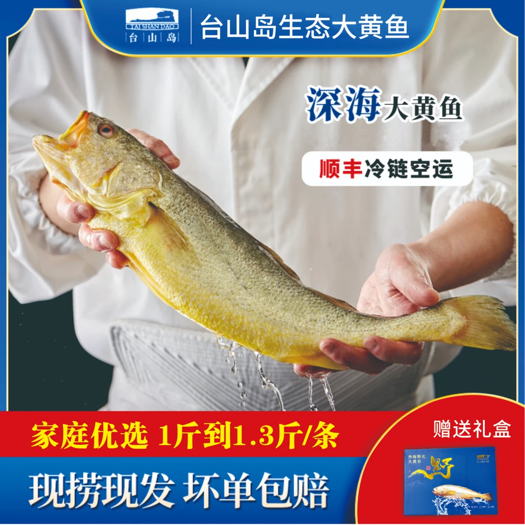 【1.1斤-1.3斤/条】新鲜台山岛海捕现捞现发黄花鱼鲜冻海鲜