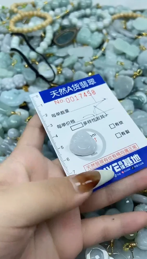 【闪购商品】翡翠颈饰未镶嵌天然A货翡翠