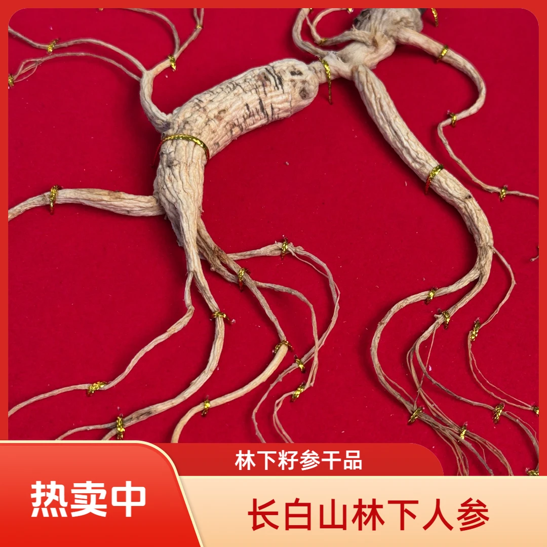 【干品上板】长白山林下参-多选链接-可煲汤泡酒炖汤打粉切片劲头足