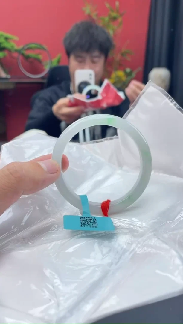 未镶嵌手镯翡翠2