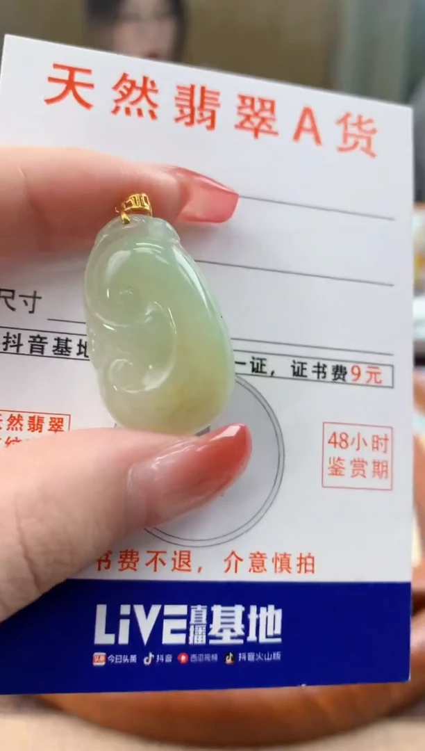 颈饰未镶嵌翡翠 天然A货翡翠挂件