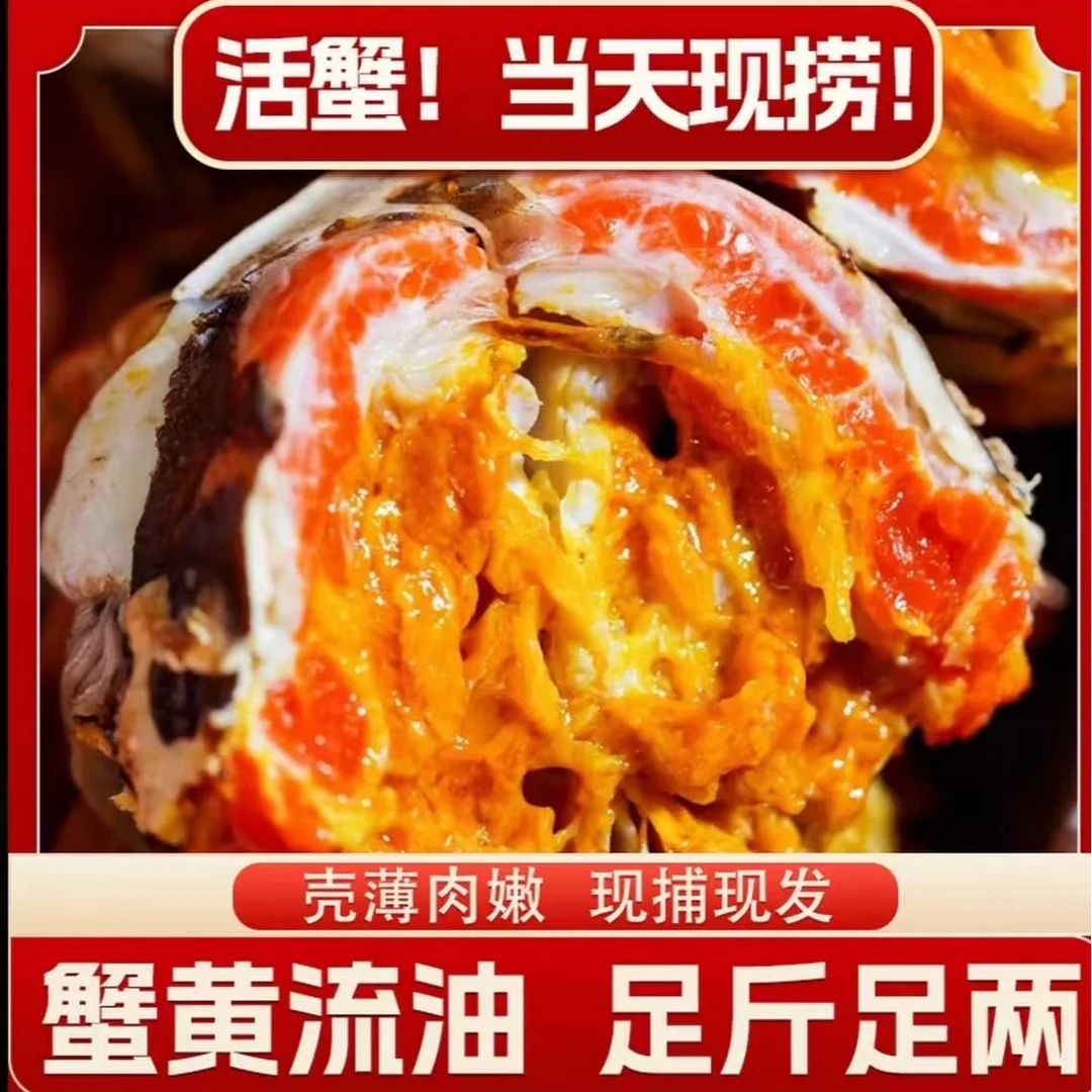 【活蟹现发】6.1-5.8两公 买8只送2只到手10只装包邮