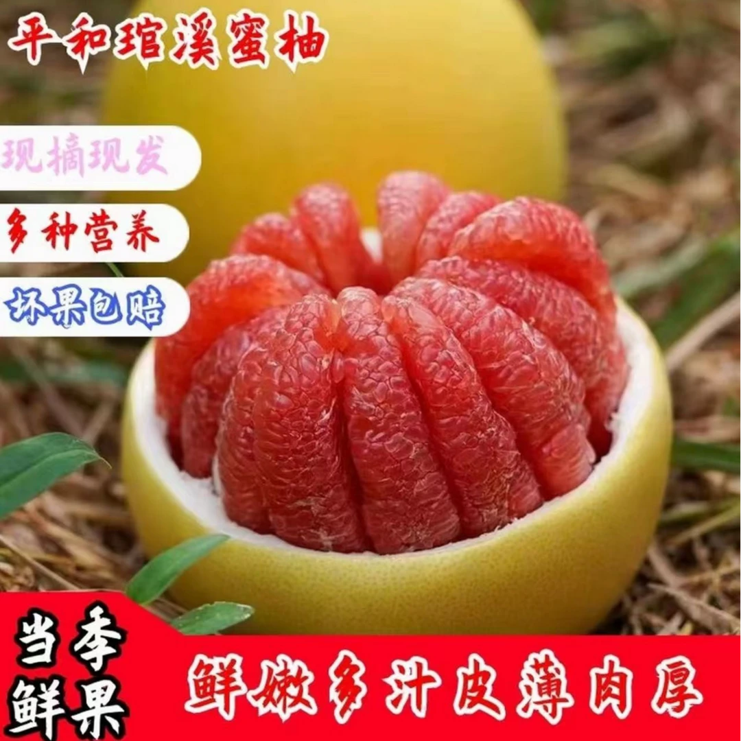 【次日发】平和琯溪红心蜜柚产地直发皮薄多汁坏果包赔