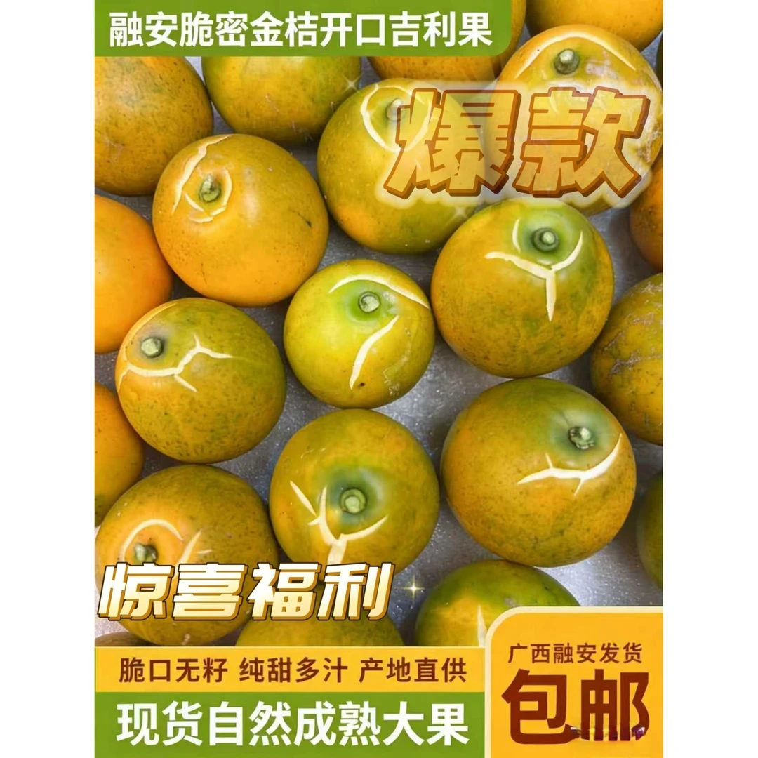 【5斤装开口笑】正宗融安金柑三代脆蜜金柑现摘水果金桔纯甜无酸