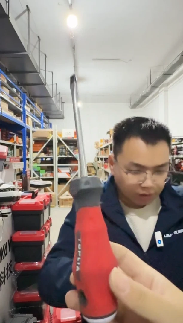 拓利亚SD08C019（一）6*100旋转螺丝刀