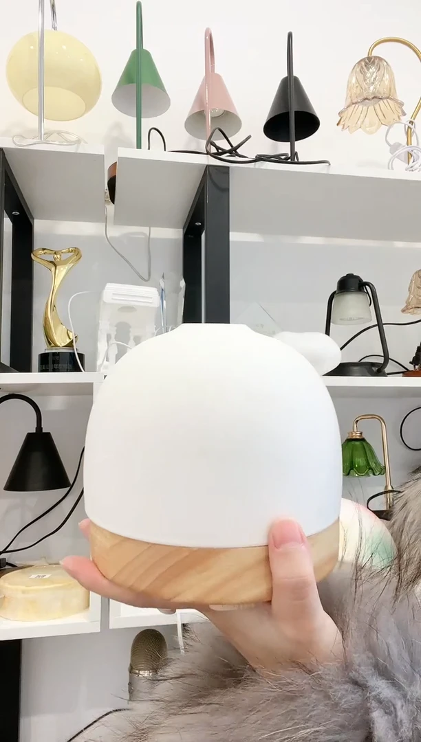 N****姐白色款陶瓷+实木香薰机样品