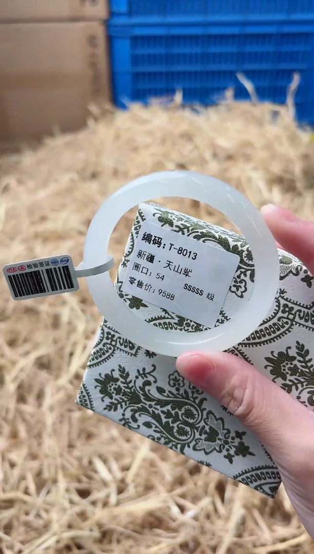 未镶嵌手镯石英质玉T-8013