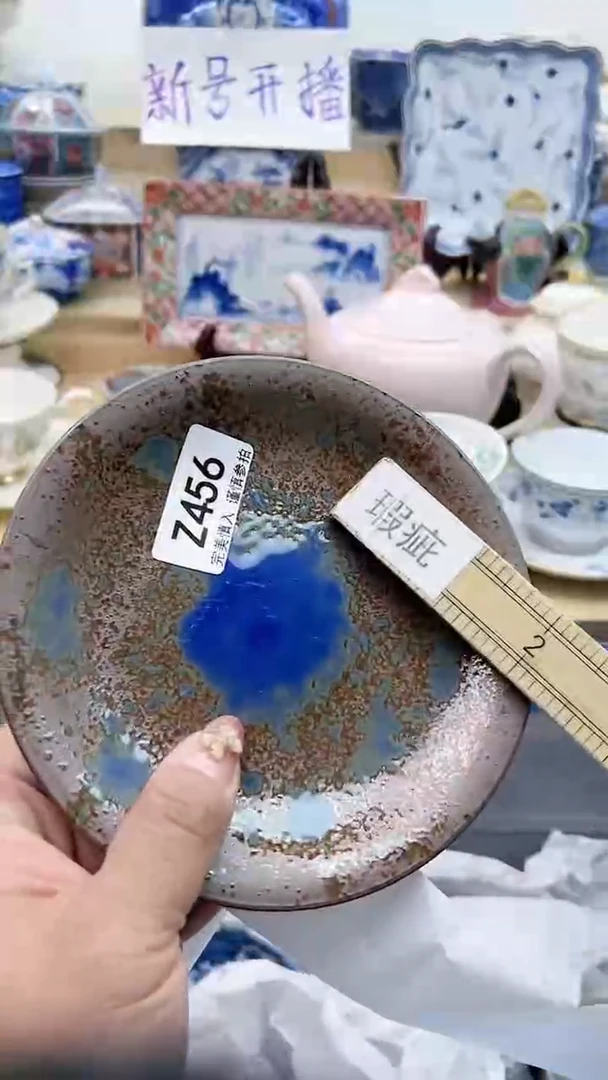 【闪购商品】瓷片456