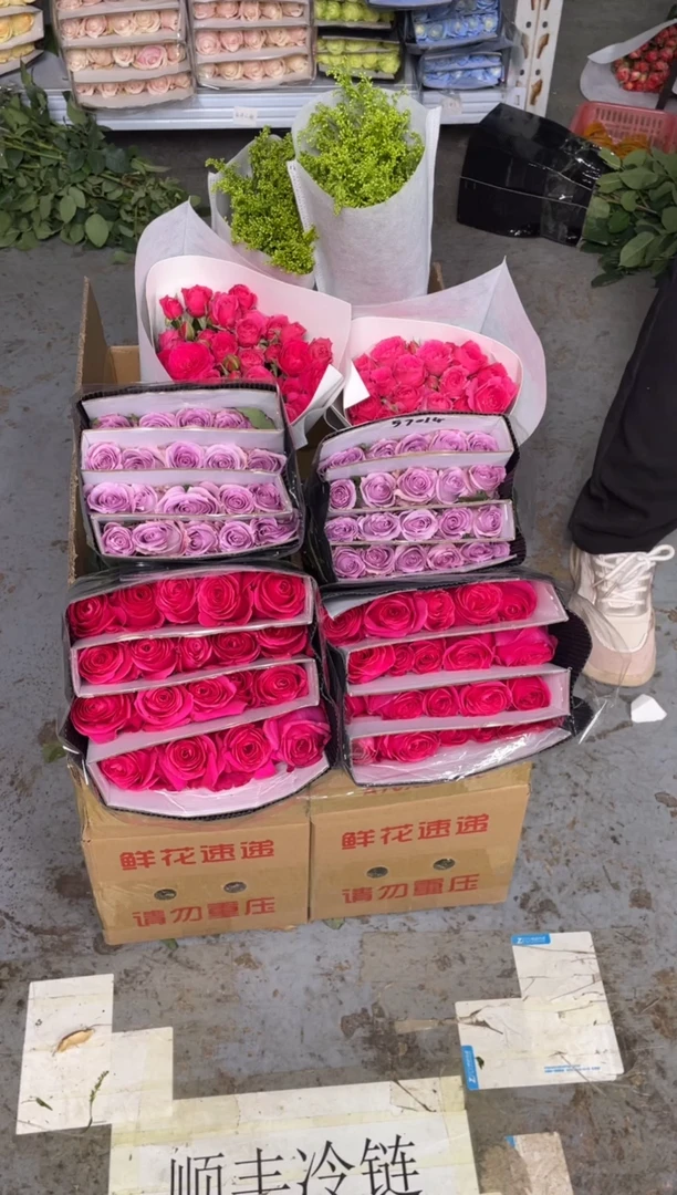 佛洛依德20枝+海洋之歌20枝+苏菲10枝+黄莺