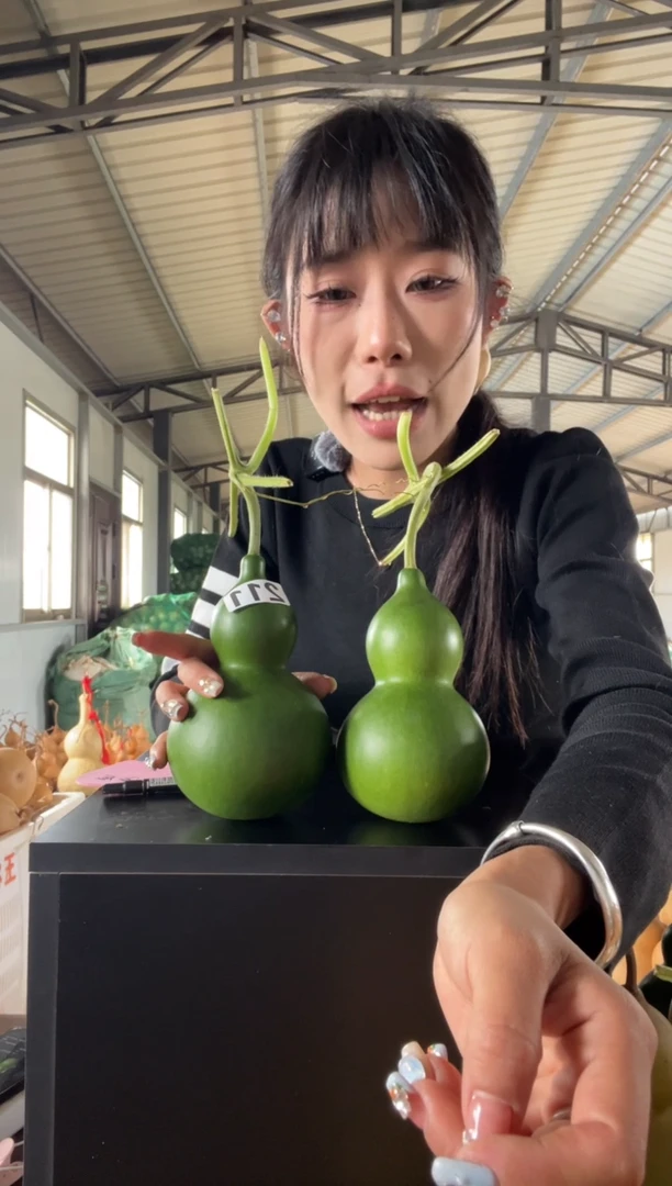 ****　211天然葫芦摆件 一物一拍龙头不保售后