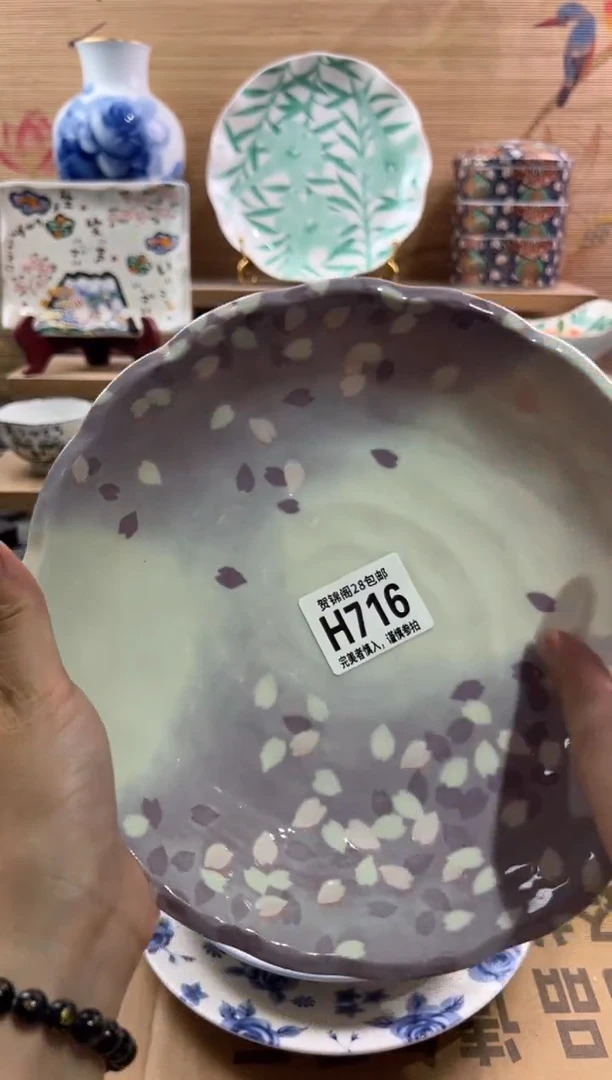 瓷片         H716