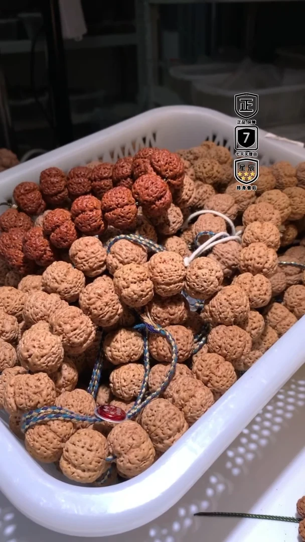 金刚菩提手串221