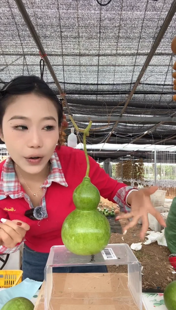 133天然葫芦摆件 一物一拍龙头不保售后