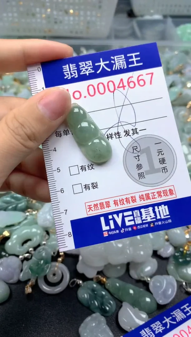 颈饰未镶嵌翡翠4667