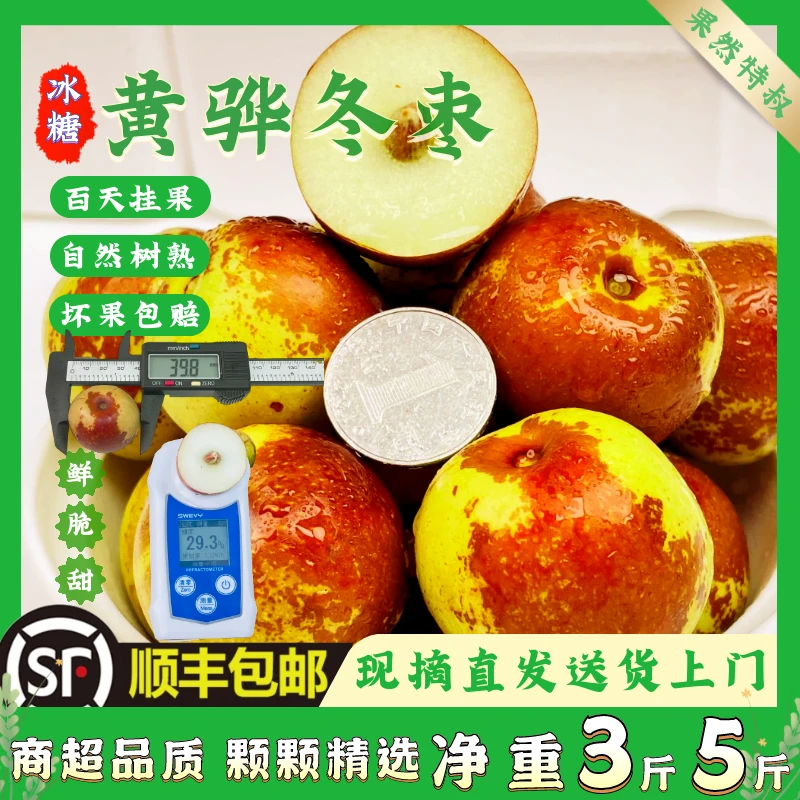 顺丰包邮正宗沧州黄骅冬枣生鲜水果特产新鲜冬枣孕妇办公室水果