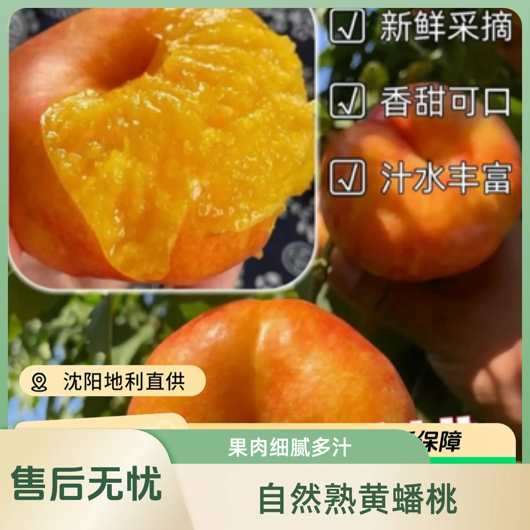 【欣姐优选】彩虹油蟠桃 头茬鲜果 当季水果新鲜g山东省