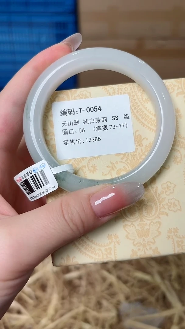 未镶嵌手镯石英质玉T-0054