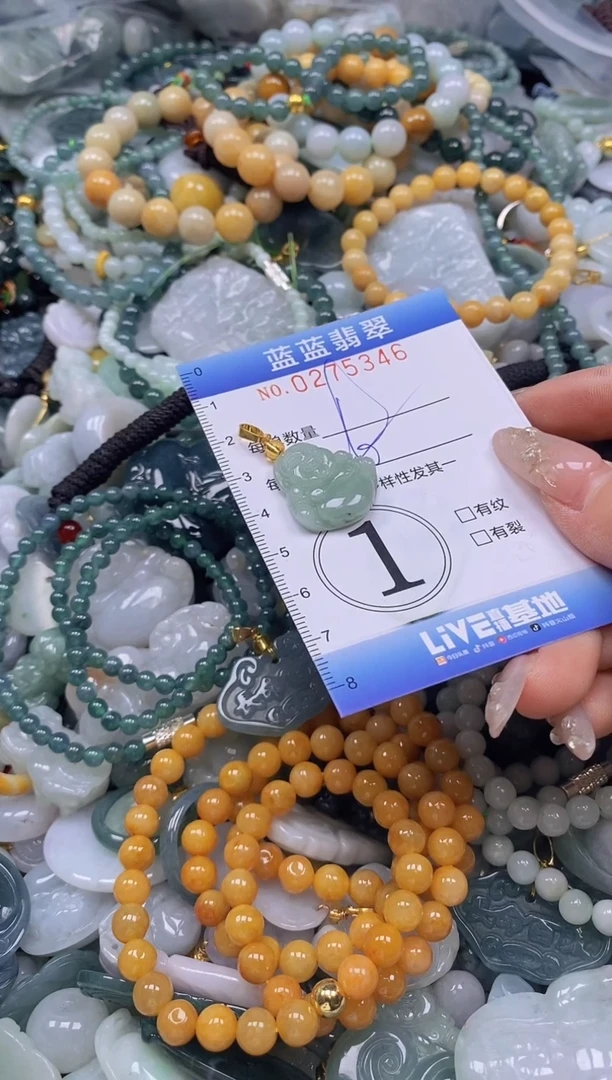 翡翠未镶嵌颈饰闪购0275346多样性发其一