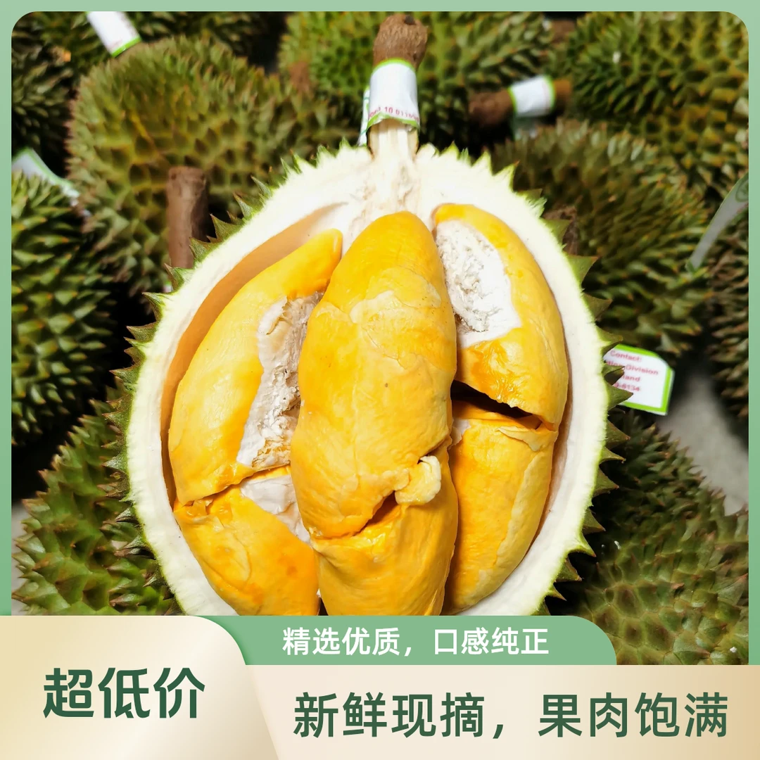 马来西亚猫山王液氮榴莲【单粒：2.6-3.0斤】猫山王马来西亚
