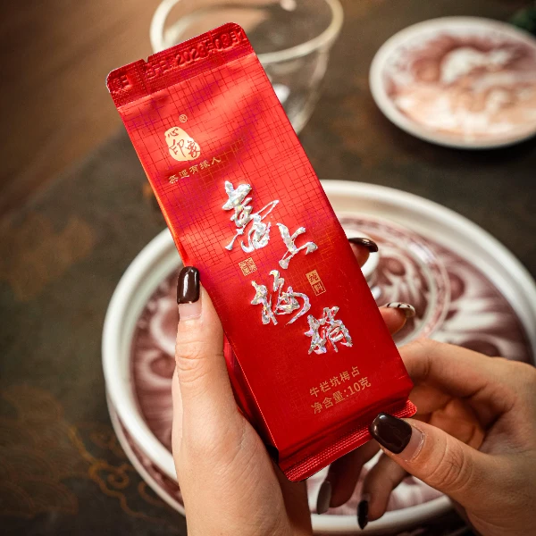 【心印象】喜上梅梢 牛栏坑梅占