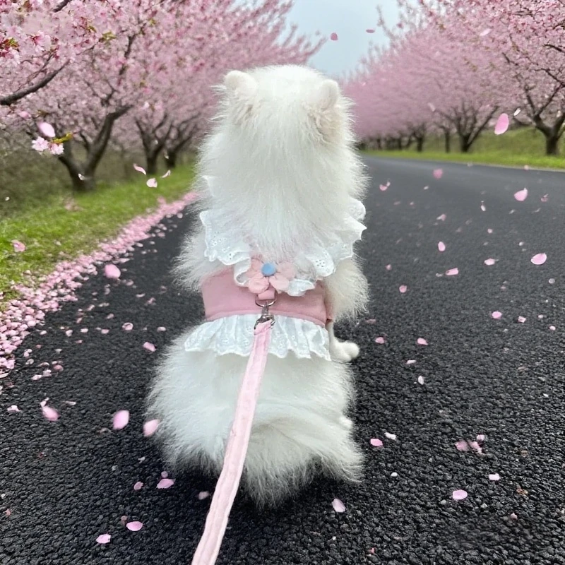 小狗狗牵引绳透气小花胸背带防挣脱泰迪博美宠物猫咪夏秋季外出用