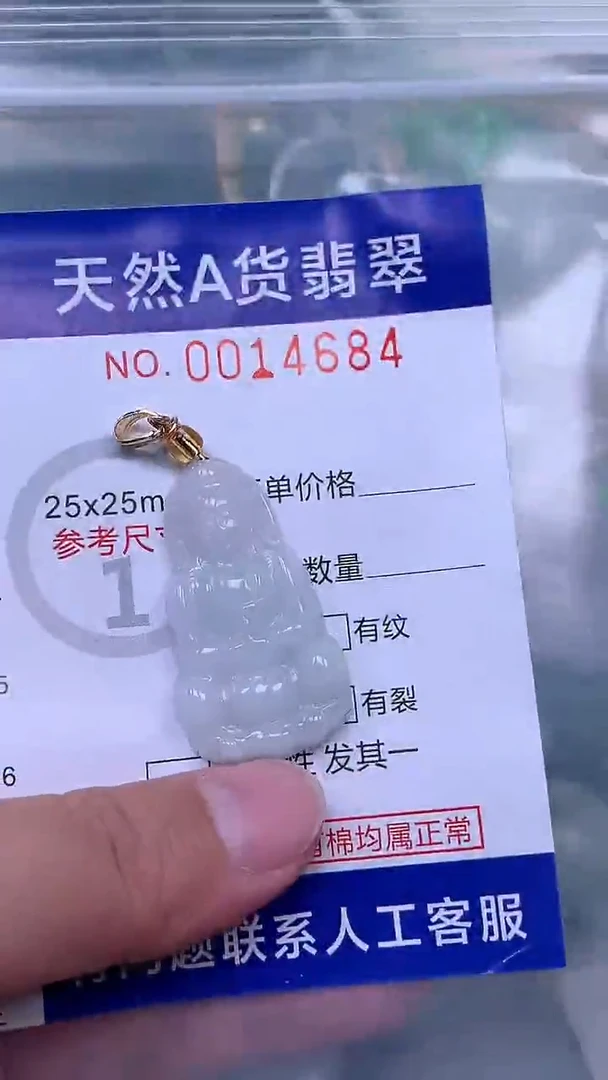 吊坠(赠链)未镶嵌翡翠1