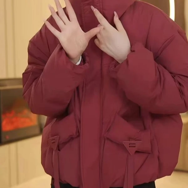 冬季爆款立领短款羽绒服2024新款时尚百搭外套1932