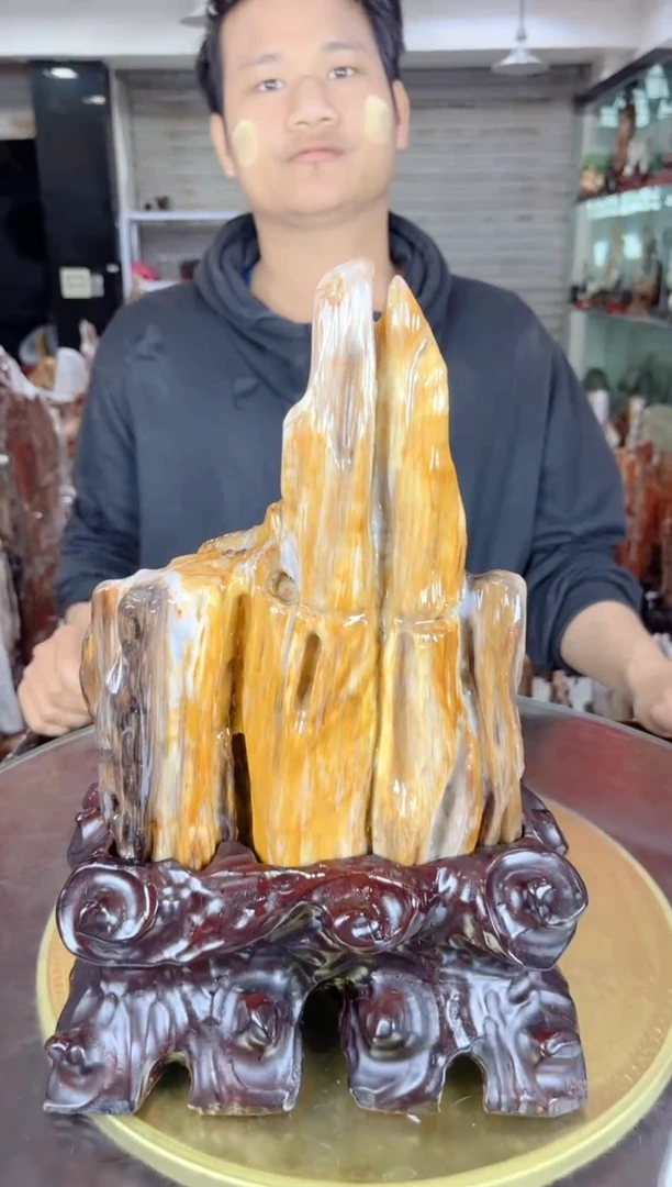 【闪购商品】硅化玉珠宝奇石未镶嵌缅甸天然树化玉