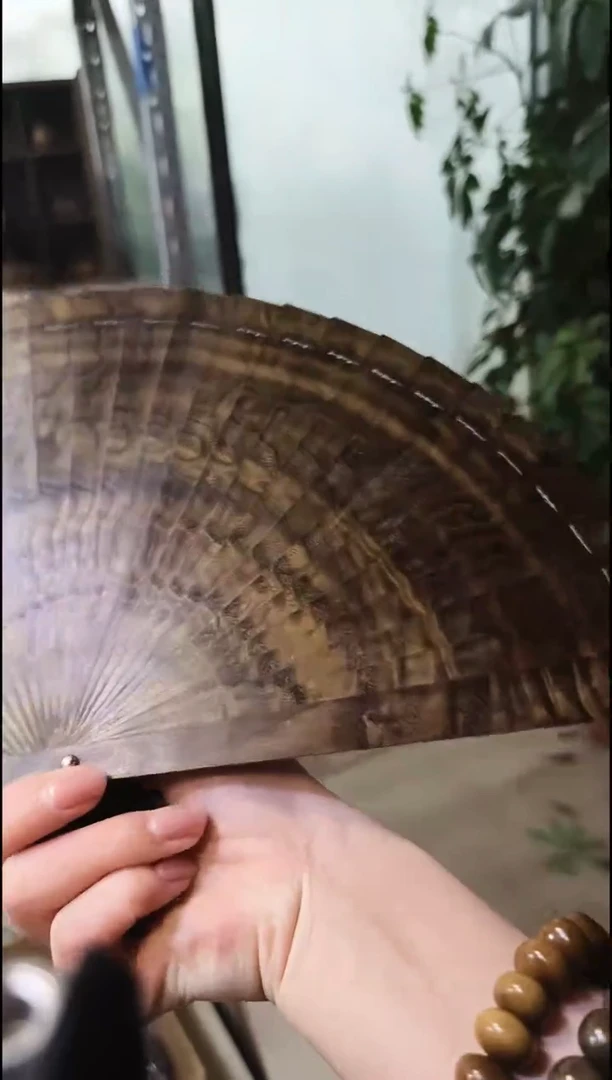 金丝楠    绿扇子