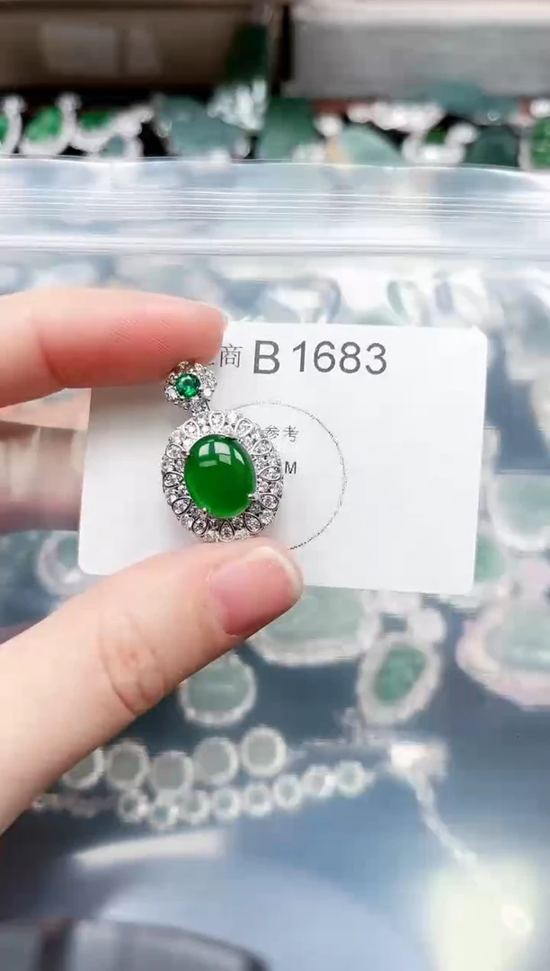 【闪购商品】翡翠颈饰未镶嵌1683赠皮绳