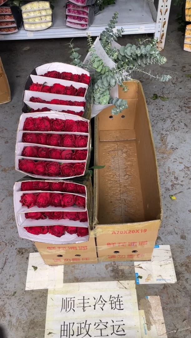 高原红10扎共200枝+尤加利2扎