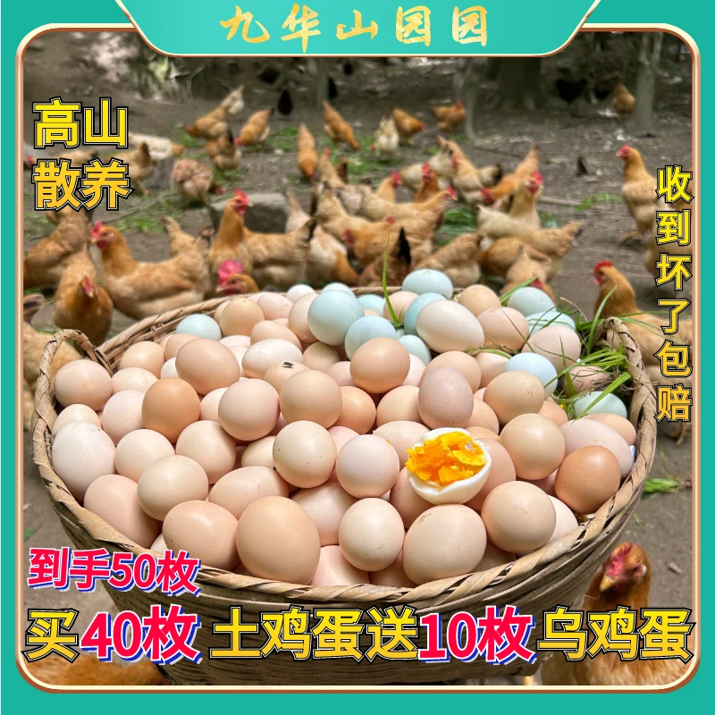 【买40土鸡蛋送10乌鸡蛋】安徽九华山树林农家散养生态自然养殖现发