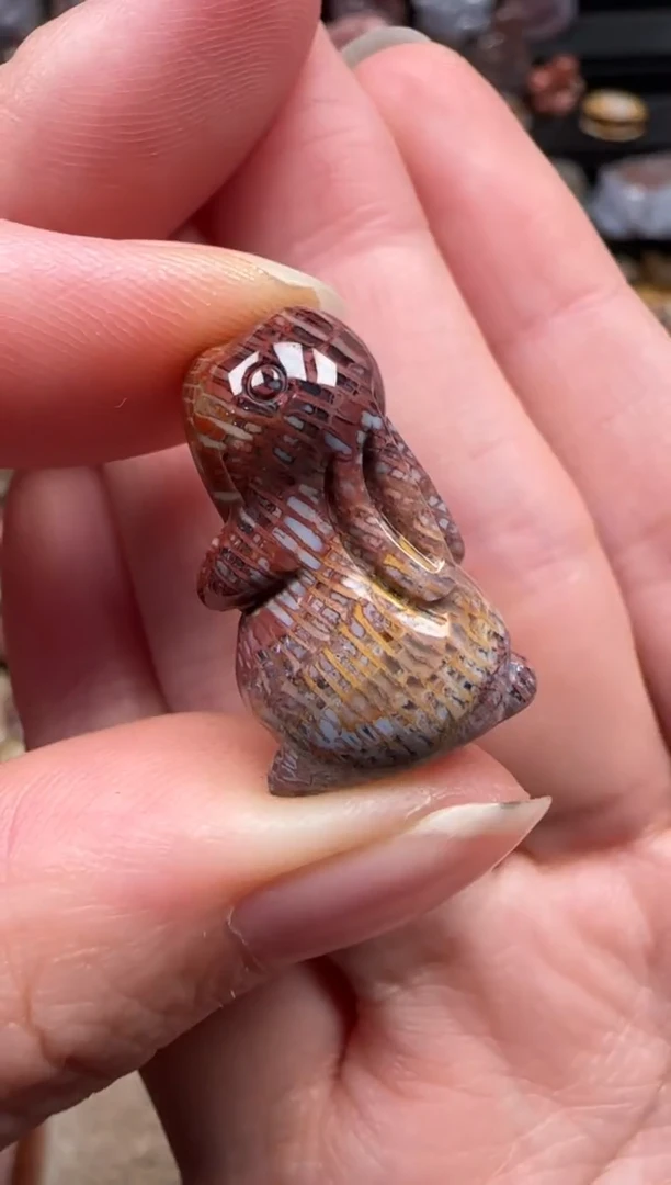 颈饰未镶嵌硅化珊瑚（珊瑚玉）383