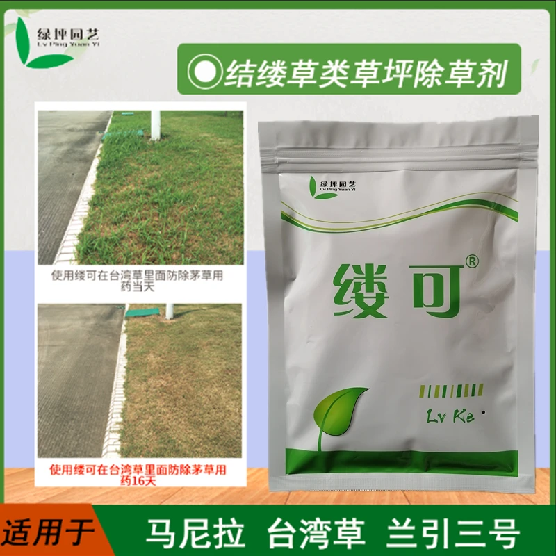 缕可结缕草除草剂马尼拉台湾草兰引三号草坪除阔叶禾本科香附子