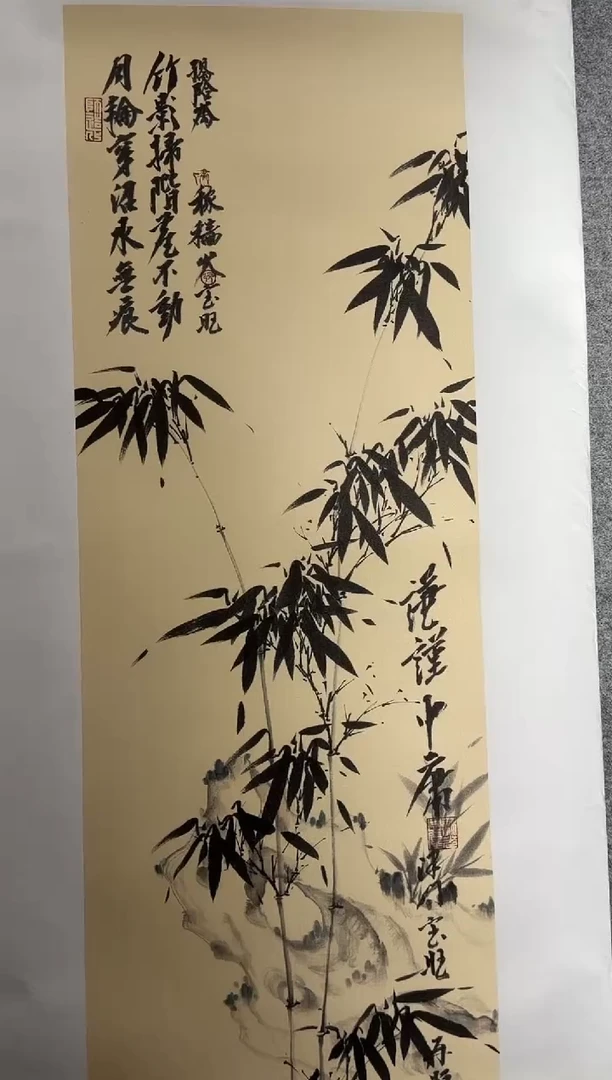 张宝旺美学 竹石 软片发货