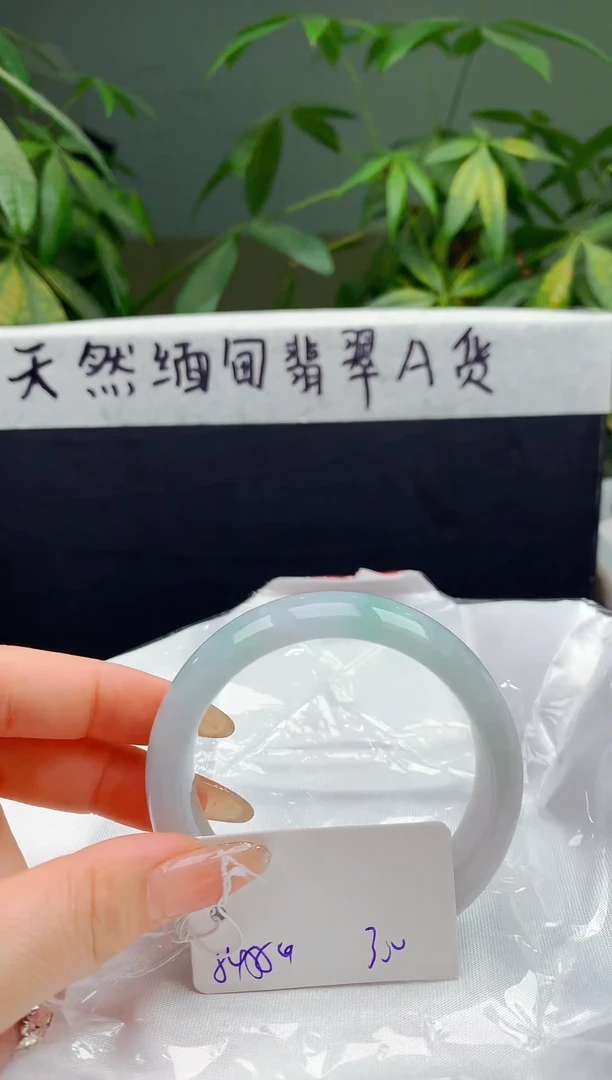 未镶嵌手镯翡翠109
