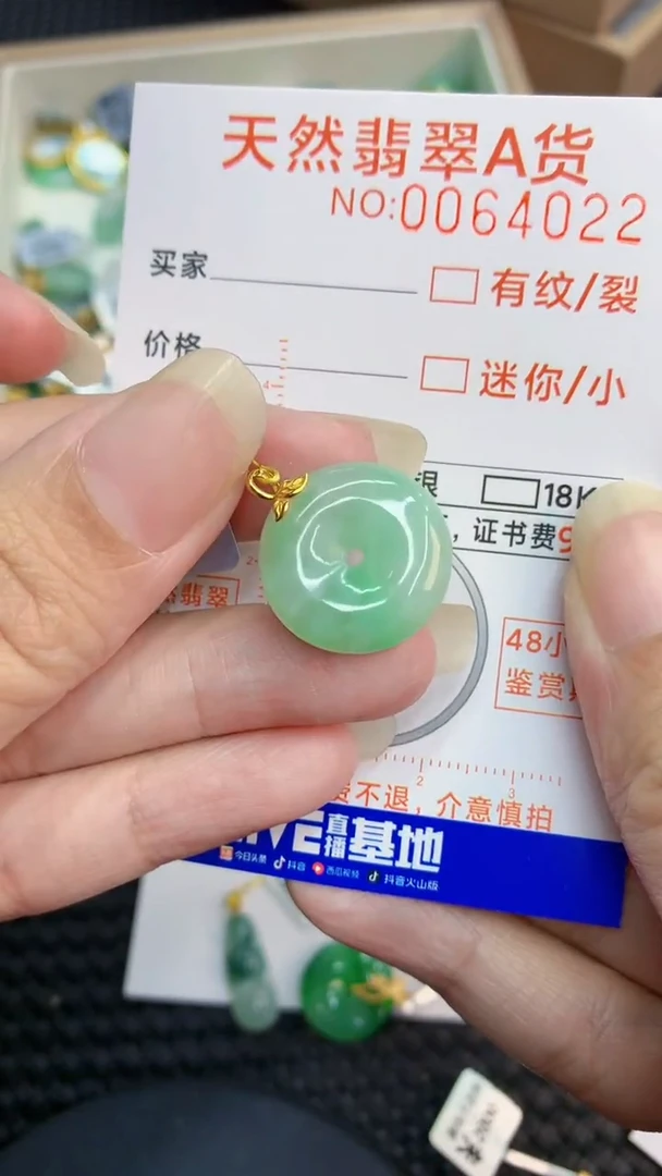 【闪购商品】翡翠颈饰18K金镶嵌000000008