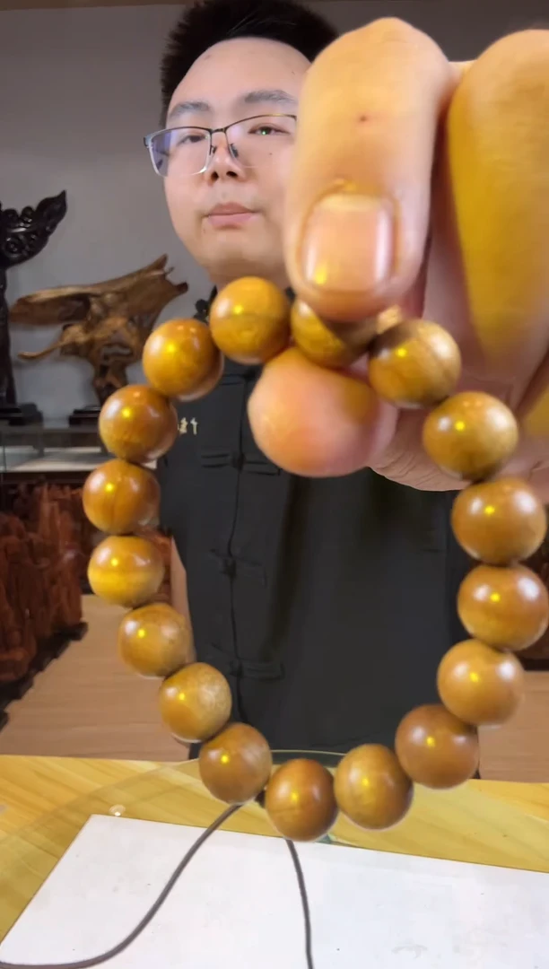 金丝楠阿*金丝楠木小叶桢楠  B18