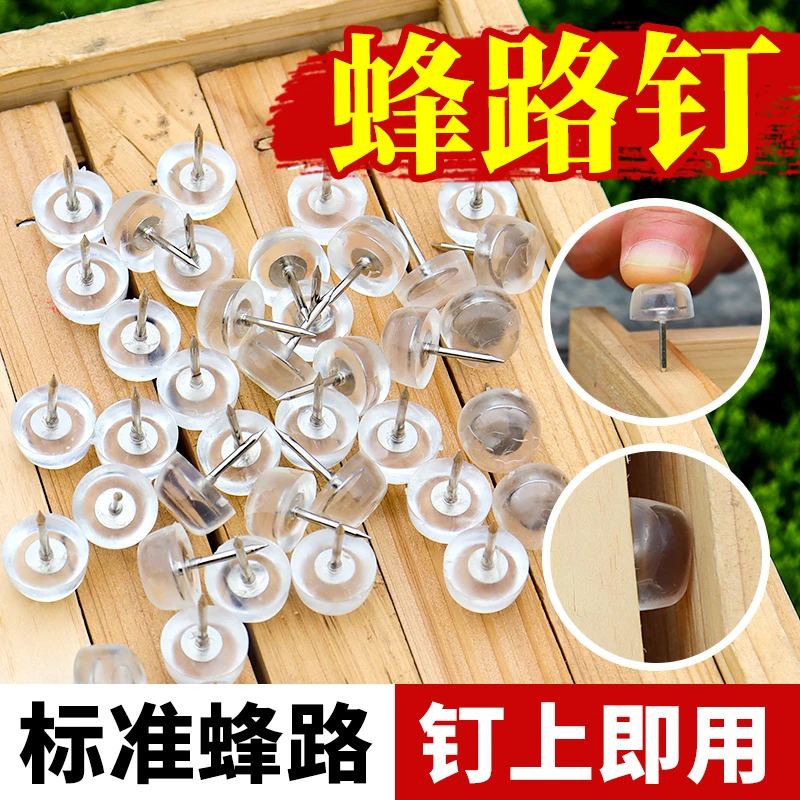 中意蜂通用巢框蜂路钉蜂箱专用间距转场适用隔板钉留蜂路专用