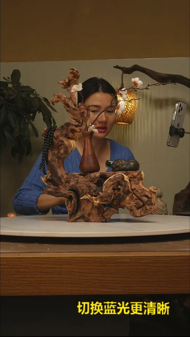 木夏*根雕摆件类638