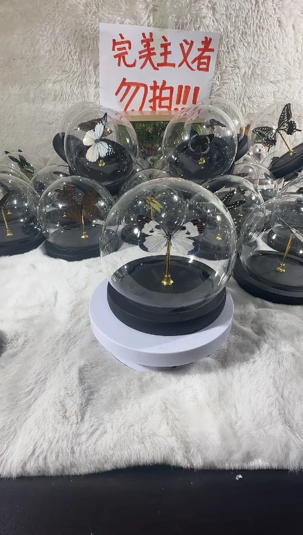 光辉荧斑蛾水晶球