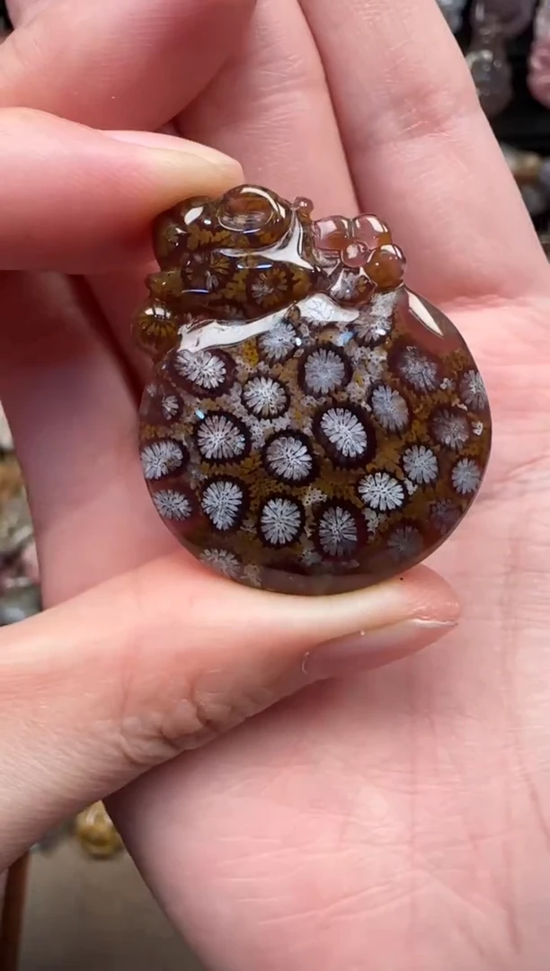 颈饰未镶嵌硅化珊瑚（珊瑚玉）126