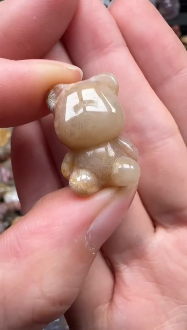 颈饰未镶嵌硅化珊瑚（珊瑚玉）184