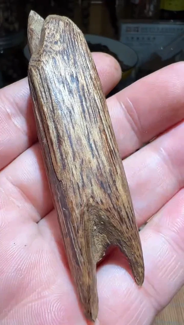 沉香沉香碎屑加里曼丹6.8克